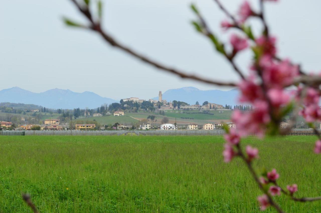 Appartamento Mi.Lu Susegana Exterior foto